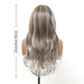 Wdbybeauty Brown Silver Gray Ombre Middle Part Long Curly Lace Front Synthetic Wavy Wig for Women Heat Resistant Lace Frontal Wigs Daily