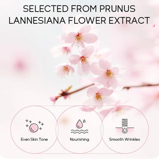 24pcs Sakura Skin Care Set Eye & Lip Masks Serum Nud Masks Cleanser Toner Essence Cream Moisturizing Smoothing Nourishing Beauty
