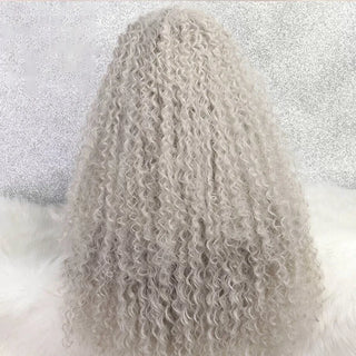 WDBY Beauty – Webster Silver Grey Deep Wave Synthetic Lace Front Wig (Glueless Long Curly Style for Women)